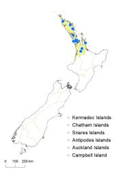 Salvinia molesta distribution map based on databased records at AK, CHR and WELT.
 Image: K. Boardman © Landcare Research 2014 CC BY 3.0 NZ
